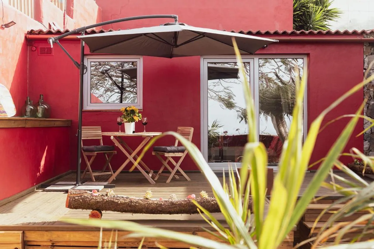 Papaya Cottage Punta Del Hidalgo La Azocar 아파트