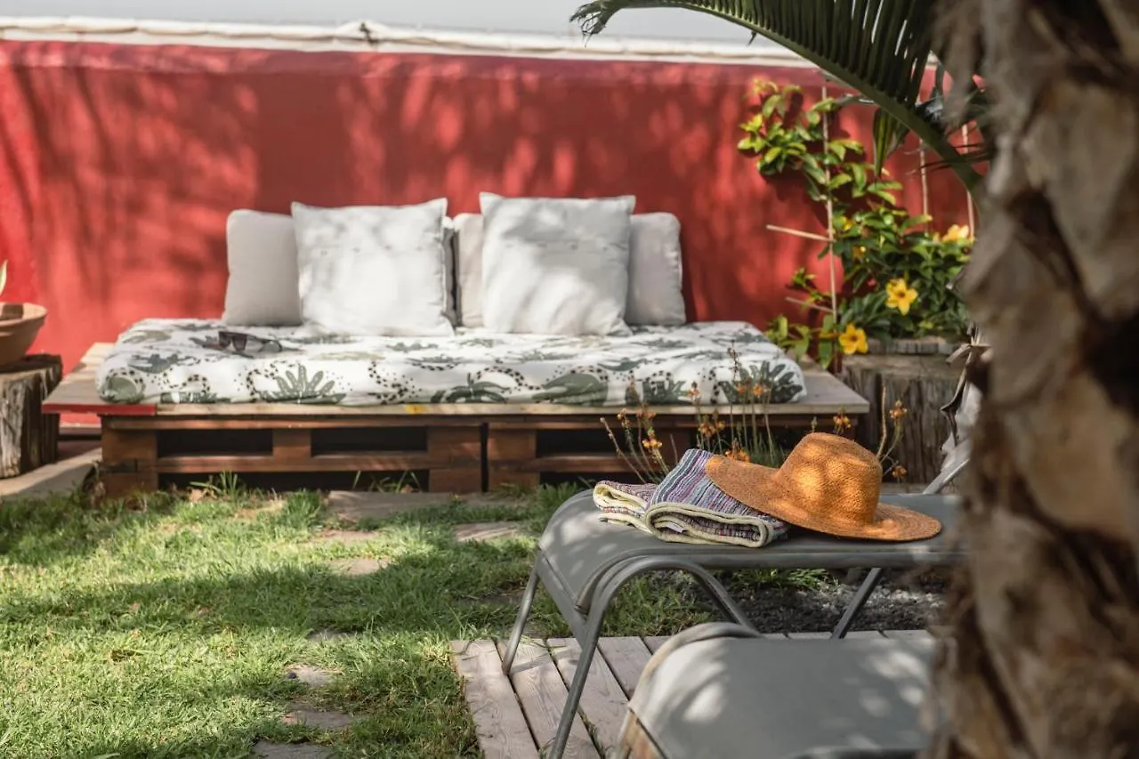 Papaya Cottage Punta Del Hidalgo La Azocar 스페인