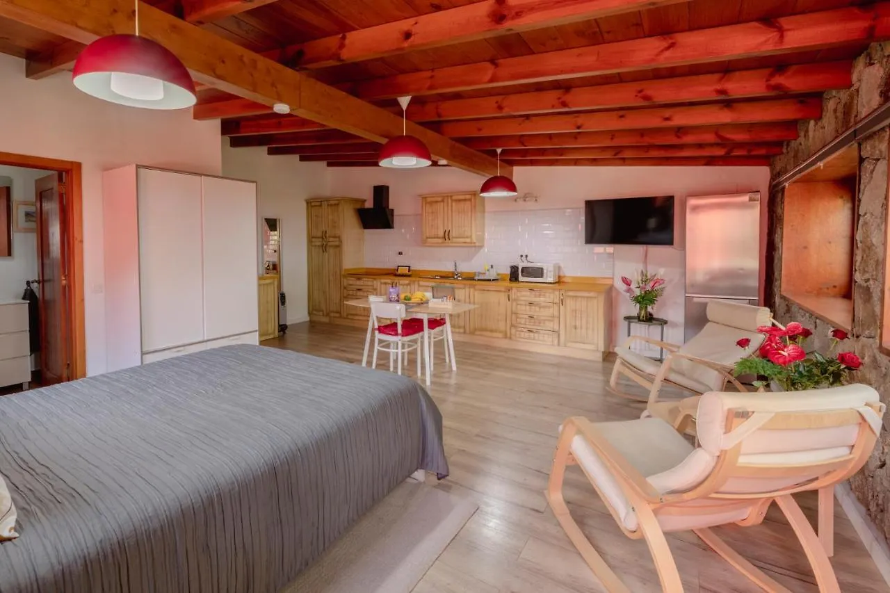 Papaya Cottage Punta Del Hidalgo La Azocar 0*,  스페인