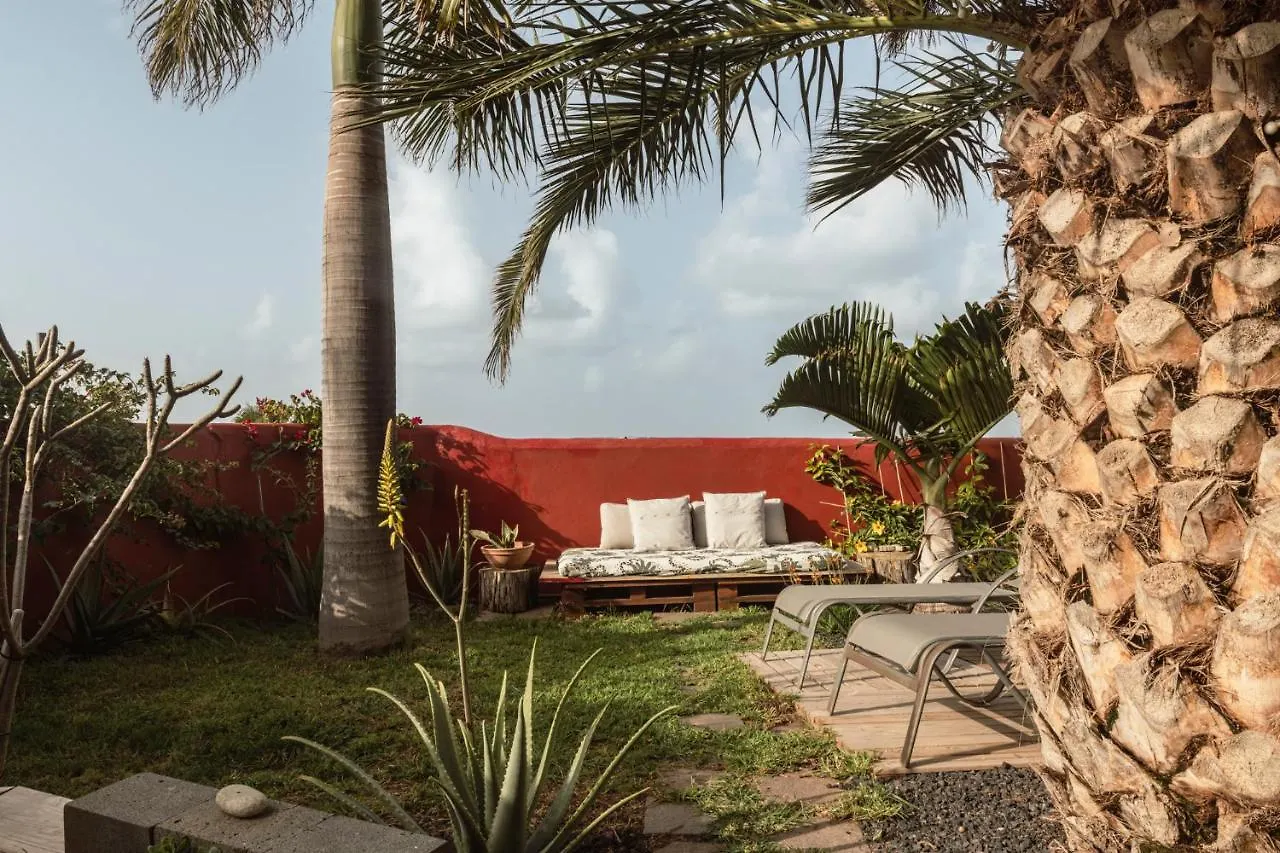 Papaya Cottage Punta Del Hidalgo La Azocar Apartament